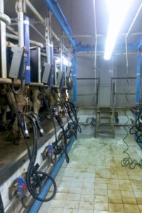 Facem Consultanţă pentru Performanţă! Facem Consultanţă pentru Performanţă!