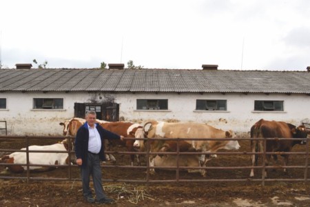 Facem Consultanţă pentru Performanţă! Facem Consultanţă pentru Performanţă!