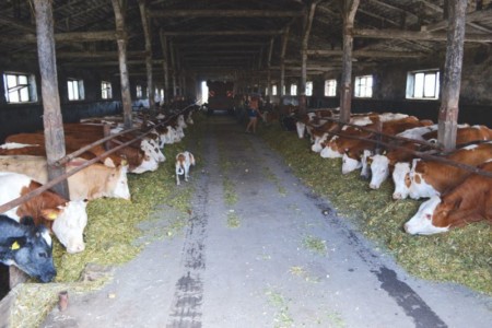 Facem Consultanţă pentru Performanţă! Facem Consultanţă pentru Performanţă!