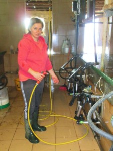 Facem Consultanţă pentru Performanţă! Facem Consultanţă pentru Performanţă!