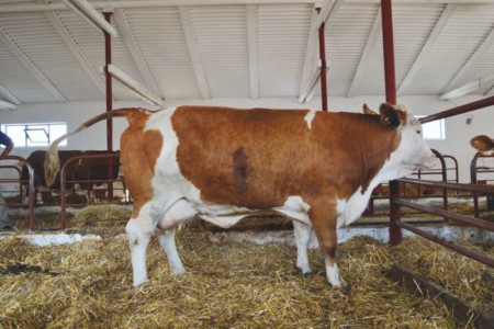 Facem Consultanţă pentru Performanţă! Facem Consultanţă pentru Performanţă!