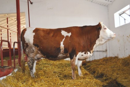 Facem Consultanţă pentru Performanţă! Facem Consultanţă pentru Performanţă!