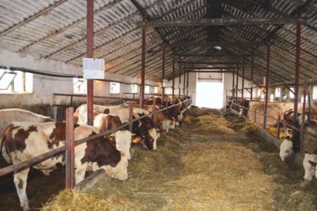 Facem Consultanţă pentru Performanţă! Facem Consultanţă pentru Performanţă!