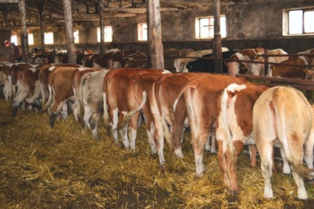 Facem Consultanţă pentru Performanţă! Facem Consultanţă pentru Performanţă!