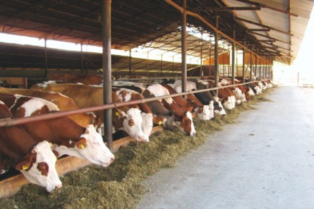 Facem Consultanţă pentru Performanţă! Facem Consultanţă pentru Performanţă!