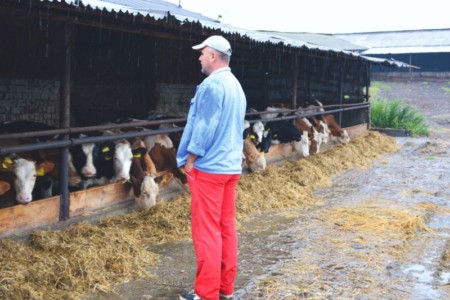 Facem Consultanţă pentru Performanţă! Facem Consultanţă pentru Performanţă!