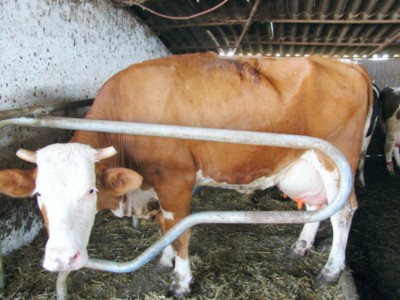 Facem Consultanţă pentru Performanţă! Facem Consultanţă pentru Performanţă!