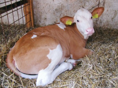 Facem Consultanţă pentru Performanţă! Facem Consultanţă pentru Performanţă!