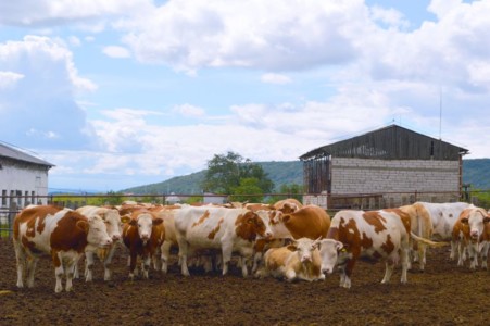 Facem Consultanţă pentru Performanţă! Facem Consultanţă pentru Performanţă!