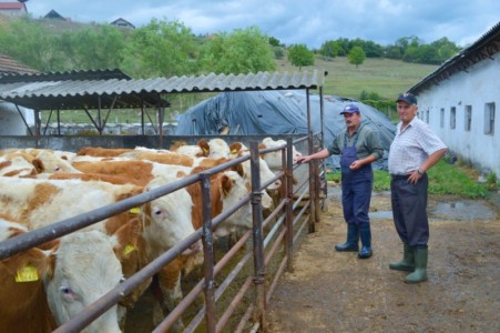 Facem Consultanţă pentru Performanţă! Facem Consultanţă pentru Performanţă!