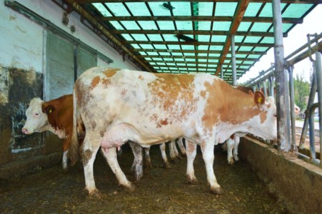 Facem Consultanţă pentru Performanţă! Facem Consultanţă pentru Performanţă!