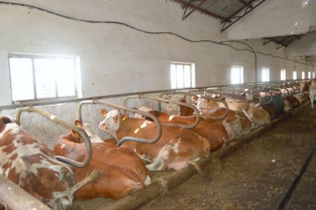 Facem Consultanţă pentru Performanţă! Facem Consultanţă pentru Performanţă!