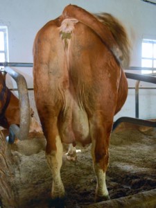 Facem Consultanţă pentru Performanţă! Facem Consultanţă pentru Performanţă!