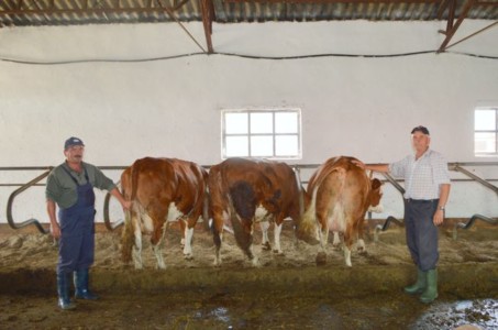 Facem Consultanţă pentru Performanţă! Facem Consultanţă pentru Performanţă!