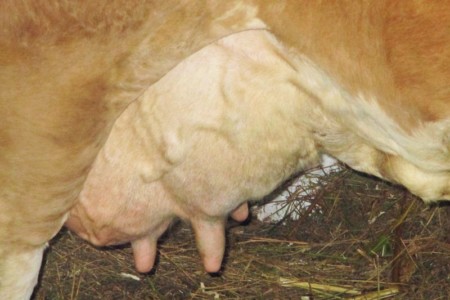 Facem Consultanţă pentru Performanţă! Facem Consultanţă pentru Performanţă!