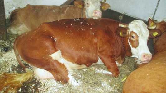 Facem Consultanţă pentru Performanţă! Facem Consultanţă pentru Performanţă!