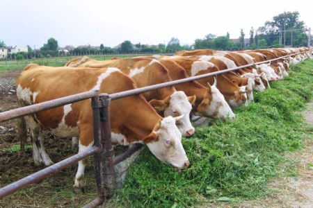 Facem Consultanţă pentru Performanţă! Facem Consultanţă pentru Performanţă!