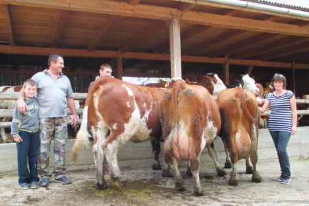 Facem Consultanţă pentru Performanţă! Facem Consultanţă pentru Performanţă!