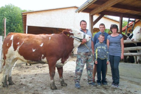 Facem Consultanţă pentru Performanţă! Facem Consultanţă pentru Performanţă!