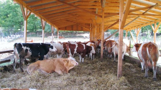 Facem Consultanţă pentru Performanţă! Facem Consultanţă pentru Performanţă!