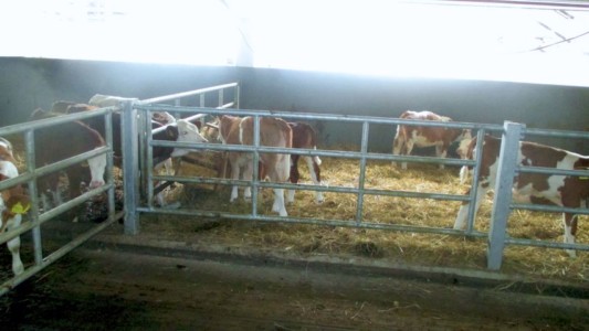 Facem Consultanţă pentru Performanţă! Facem Consultanţă pentru Performanţă!