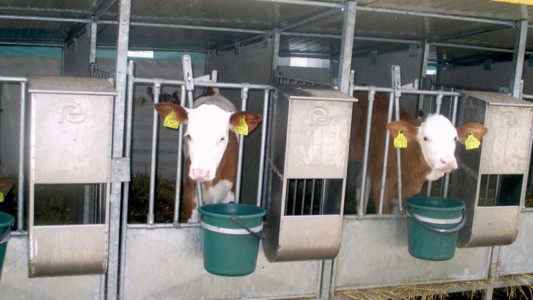 Facem Consultanţă pentru Performanţă! Facem Consultanţă pentru Performanţă!