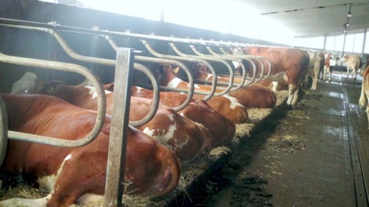 Facem Consultanţă pentru Performanţă! Facem Consultanţă pentru Performanţă!