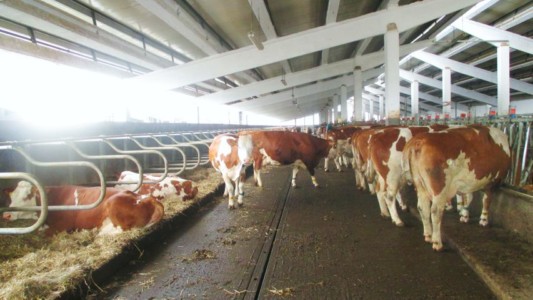 Facem Consultanţă pentru Performanţă! Facem Consultanţă pentru Performanţă!