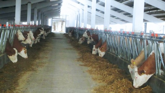 Facem Consultanţă pentru Performanţă! Facem Consultanţă pentru Performanţă!