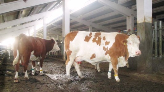 Facem Consultanţă pentru Performanţă! Facem Consultanţă pentru Performanţă!