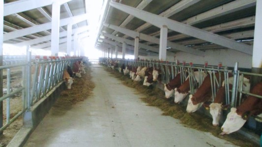 Facem Consultanţă pentru Performanţă! Facem Consultanţă pentru Performanţă!