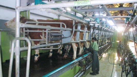 Facem Consultanţă pentru Performanţă! Facem Consultanţă pentru Performanţă!