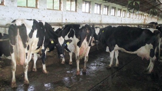 Facem Consultanţă pentru Performanţă! Facem Consultanţă pentru Performanţă!