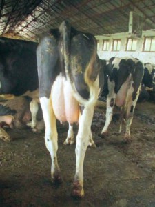 Facem Consultanţă pentru Performanţă! Facem Consultanţă pentru Performanţă!