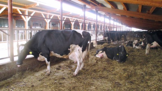 Facem Consultanţă pentru Performanţă! Facem Consultanţă pentru Performanţă!