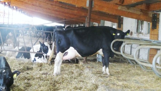 Facem Consultanţă pentru Performanţă! Facem Consultanţă pentru Performanţă!