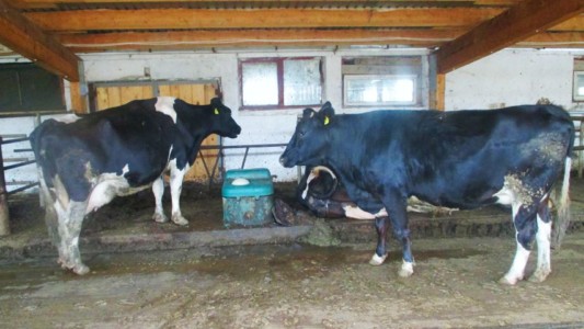 Facem Consultanţă pentru Performanţă! Facem Consultanţă pentru Performanţă!