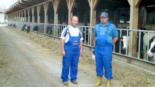 Facem Consultanţă pentru Performanţă! Facem Consultanţă pentru Performanţă!