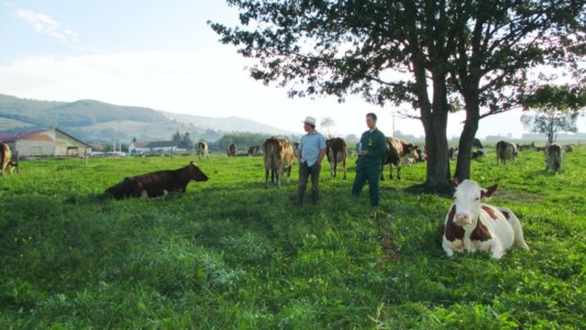 Facem Consultanţă pentru Performanţă! Facem Consultanţă pentru Performanţă!