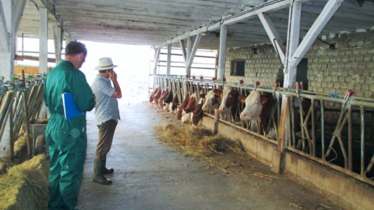 Facem Consultanţă pentru Performanţă! Facem Consultanţă pentru Performanţă!