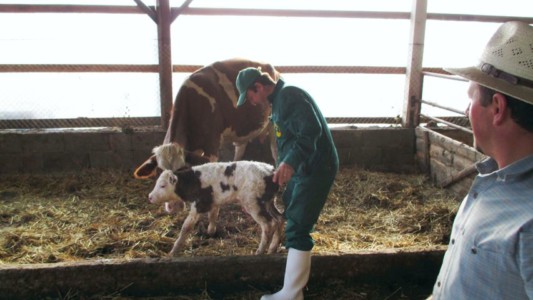 Facem Consultanţă pentru Performanţă! Facem Consultanţă pentru Performanţă!