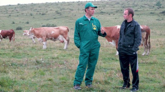 Facem Consultanţă pentru Performanţă! Facem Consultanţă pentru Performanţă!