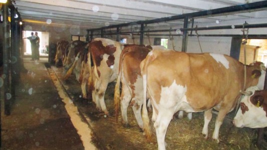 Facem Consultanţă pentru Performanţă! Facem Consultanţă pentru Performanţă!