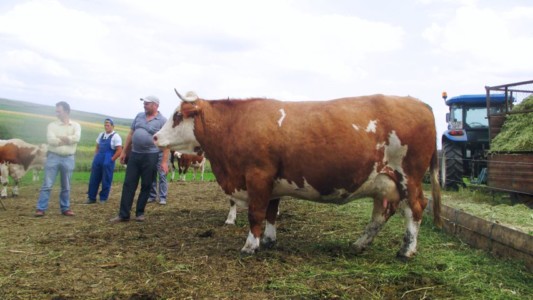 Facem Consultanţă pentru Performanţă! Facem Consultanţă pentru Performanţă!