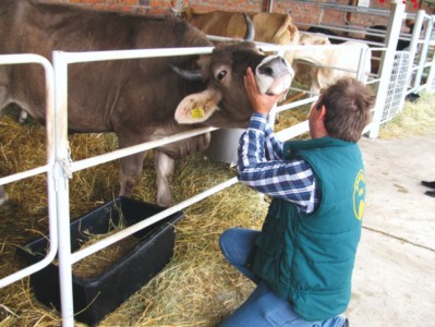 Facem Consultanţă pentru Performanţă! Facem Consultanţă pentru Performanţă!