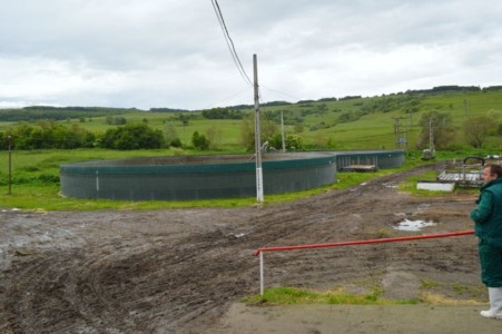 Facem Consultanţă pentru Performanţă! Facem Consultanţă pentru Performanţă!