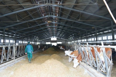 Facem Consultanţă pentru Performanţă! Facem Consultanţă pentru Performanţă!