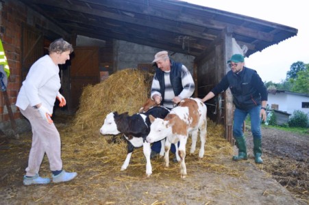 Facem Consultanţă pentru Performanţă! Facem Consultanţă pentru Performanţă!