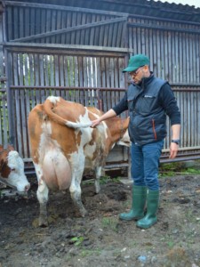 Facem Consultanţă pentru Performanţă! Facem Consultanţă pentru Performanţă!