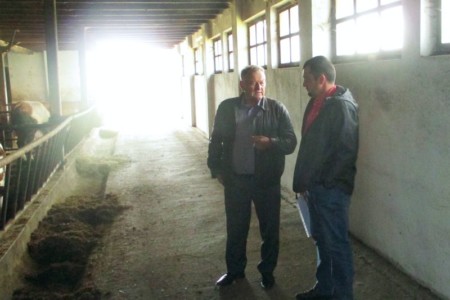 Facem Consultanţă pentru Performanţă! Facem Consultanţă pentru Performanţă!